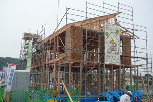 屋根まで頑張れ～