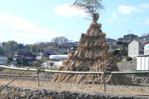 新年あけましておめでとうございます。
