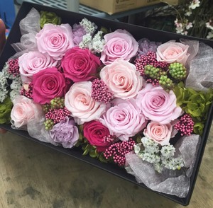 ご来場有難うございました