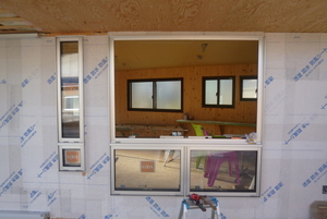 新商品　初お目見え