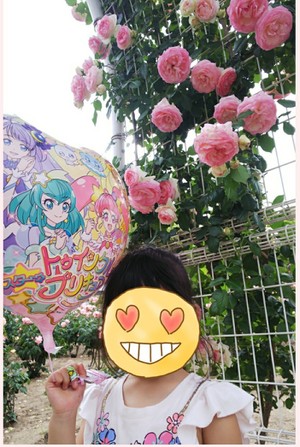 福山ばら祭り 2019