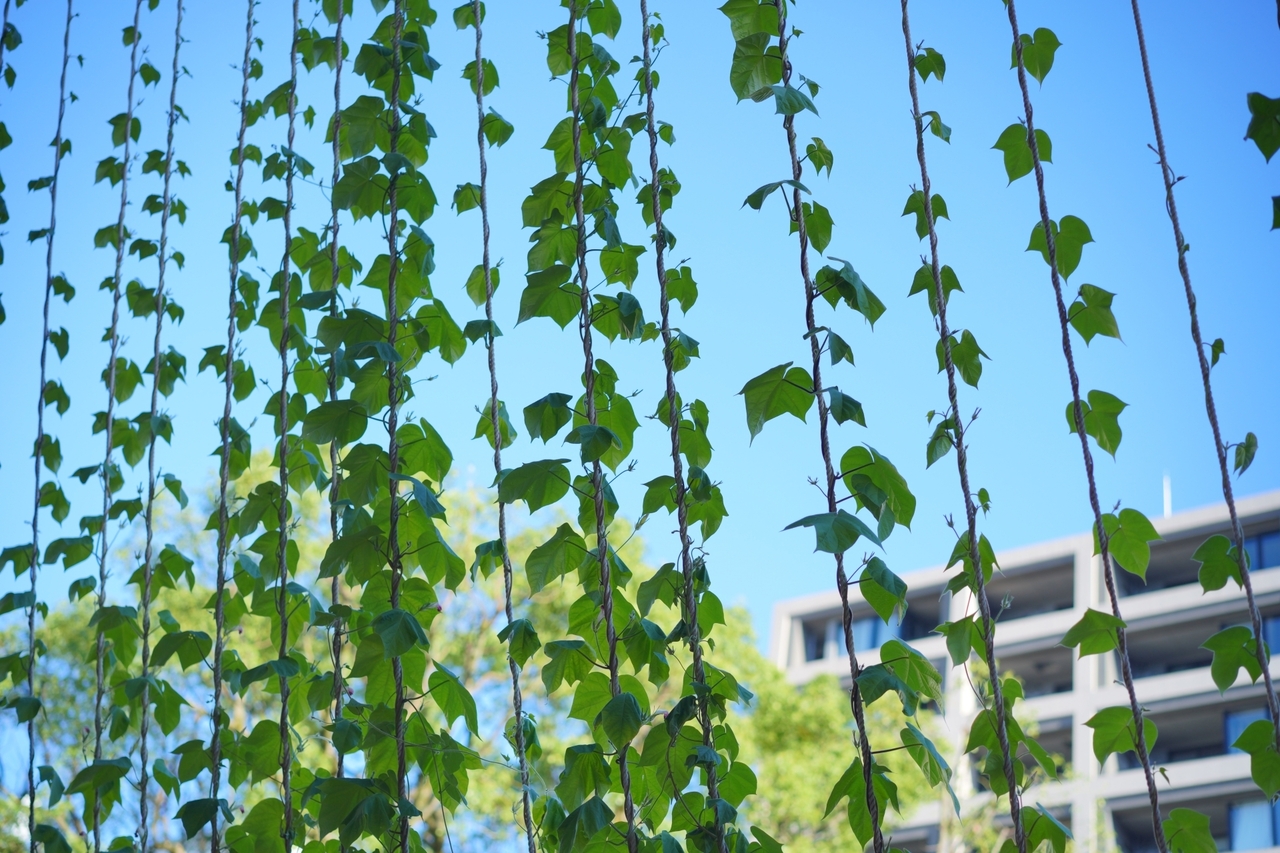 スーパーウォール工法の高性能住宅で夏を快適に